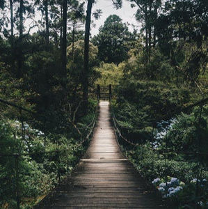 Meet your Posher, Annie